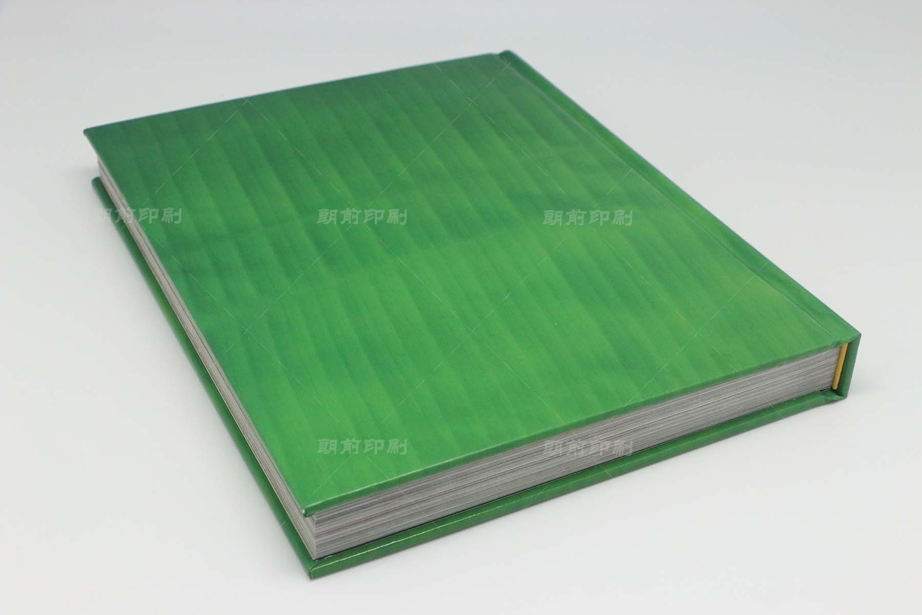 廣州菜譜畫冊(cè)設(shè)計(jì)制作 廣州黨建畫冊(cè)設(shè)計(jì)制作