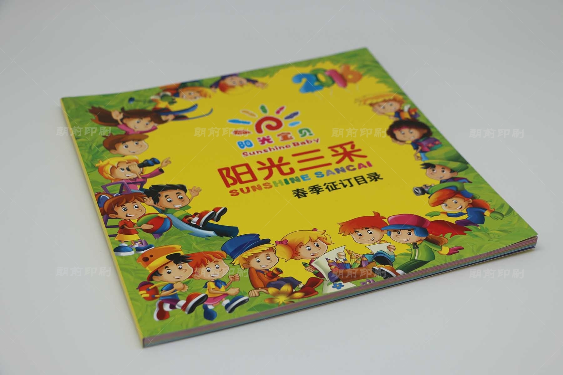 廣州專(zhuān)業(yè)畫(huà)冊(cè)印刷多少錢(qián) 廣州提供畫(huà)冊(cè)設(shè)計(jì)印刷